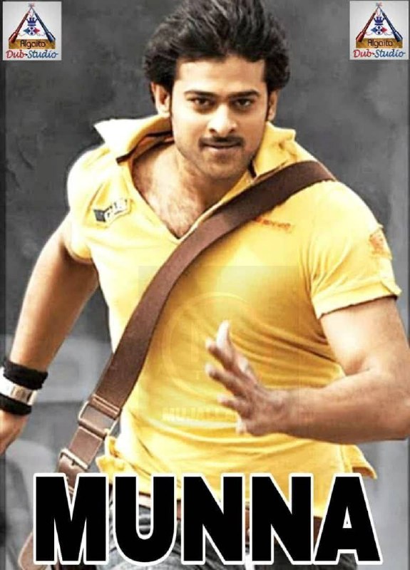 Munna algaita