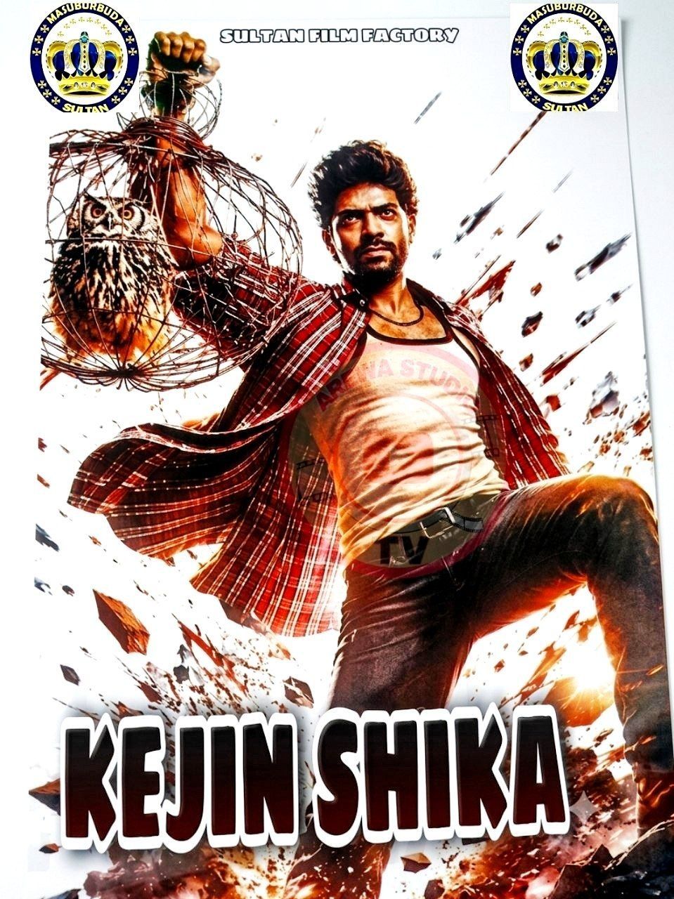 Kejin shika sultan Indian Hausa